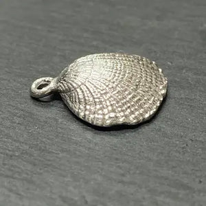 Cockle Shell Drop Earrings - Sterling Silver