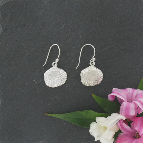 Cockle Shell Drop Earrings - Sterling Silver