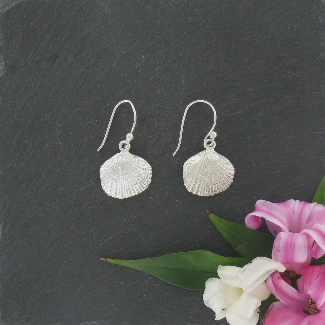 Cockle Shell Drop Earrings - Sterling Silver