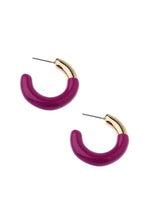 Load image into Gallery viewer, Harmony Enamel Hoop Earrings