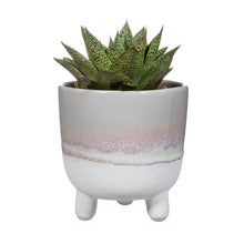 Load image into Gallery viewer, Mojave Glaze Grey Planter